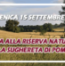 Visita guidata alla Riserva naturale della Sughereta di Pomezia (15 settembre 2024)